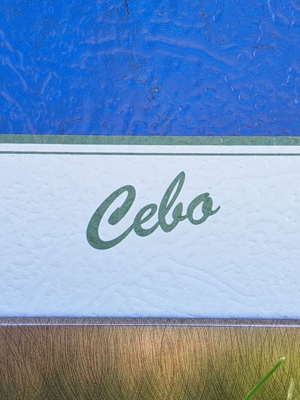 Mediterranean Scene By Cebo - Picture 9 of 11
